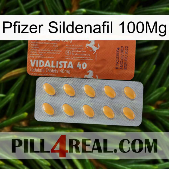 Pfizer Sildenafil 100Mg 43.jpg